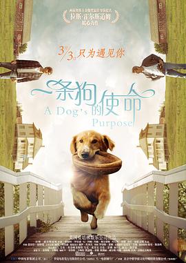 色小姐导航